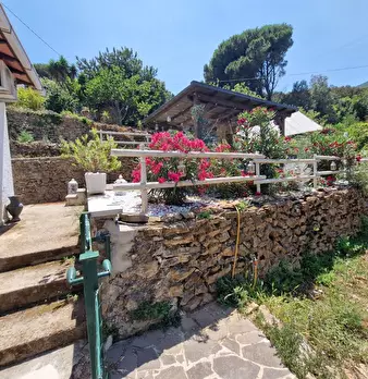 Foto annuncio 19