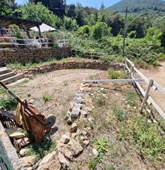 Foto annuncio 21