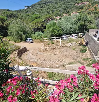 Foto annuncio 17