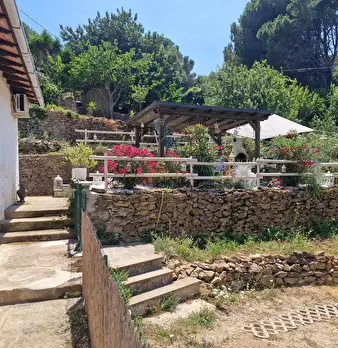Foto annuncio 22