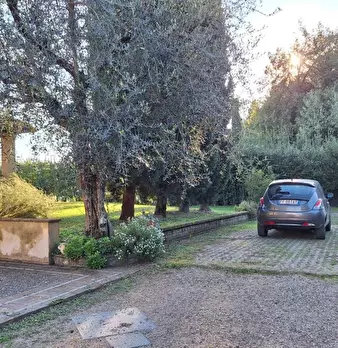 Foto annuncio 9