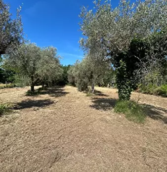 Foto annuncio 6