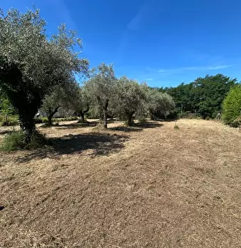 Foto annuncio 7