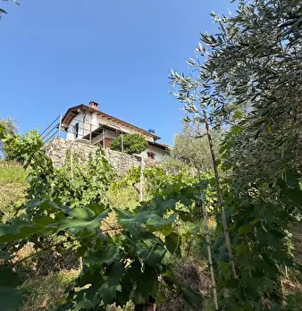 Foto annuncio 8