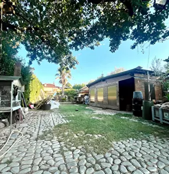 Foto annuncio 30