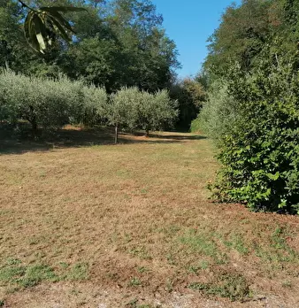 Foto annuncio 14