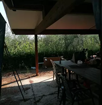 Foto annuncio 7