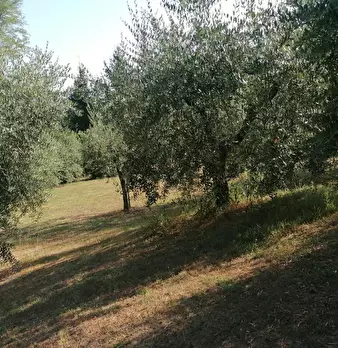 Foto annuncio 9