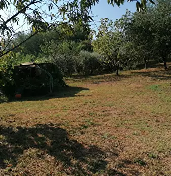 Foto annuncio 12