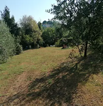 Foto annuncio 10