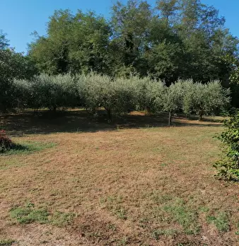 Foto annuncio 13