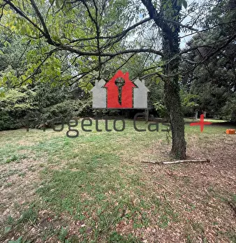 Foto annuncio 5