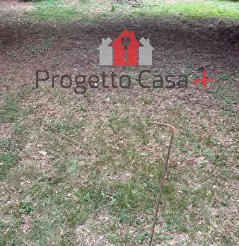 Foto annuncio 9