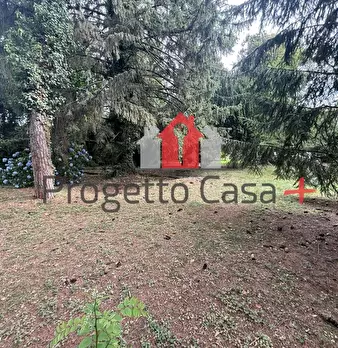Foto annuncio 8