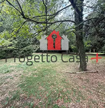 Foto annuncio 10