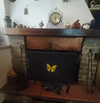 Foto annuncio 12