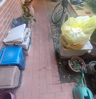 Foto annuncio 3