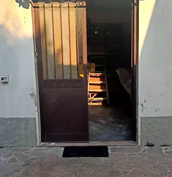 Foto annuncio 16