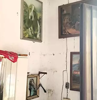 Foto annuncio 22