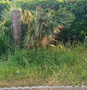 Foto annuncio 7