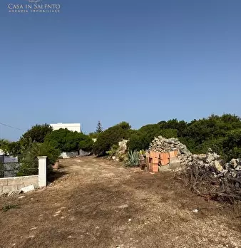 Foto annuncio 12