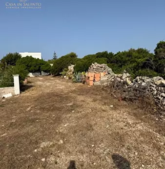 Foto annuncio 11