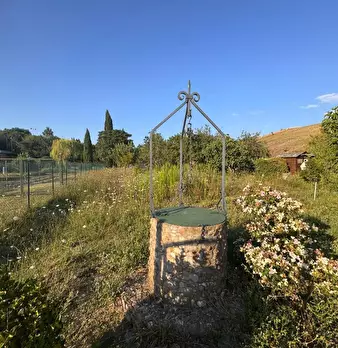 Foto annuncio 10