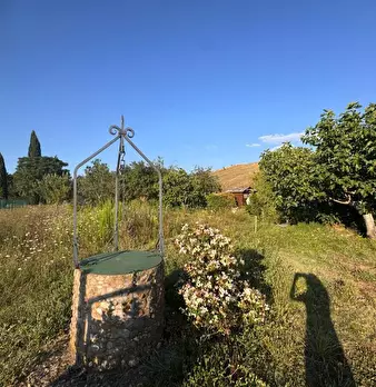 Foto annuncio 4