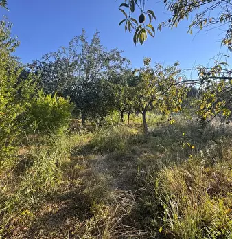Foto annuncio 6