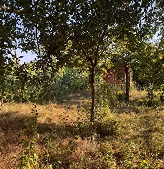 Foto annuncio 9