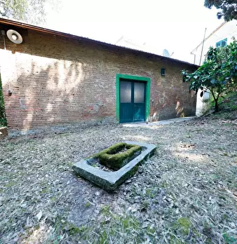 Foto annuncio 19