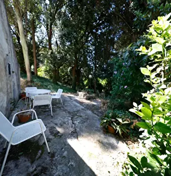 Foto annuncio 8