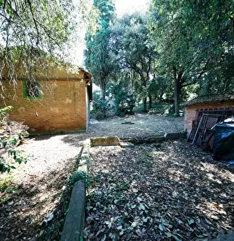Foto annuncio 16