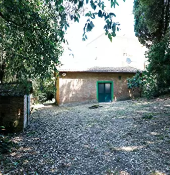 Foto annuncio 11