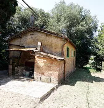 Foto annuncio 51