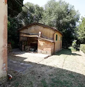 Foto annuncio 50