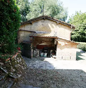 Foto annuncio 7