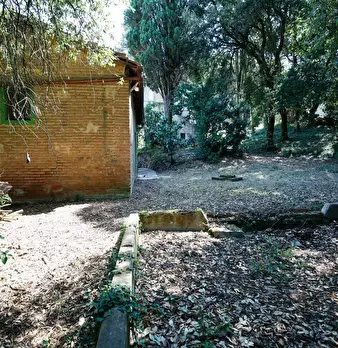 Foto annuncio 17