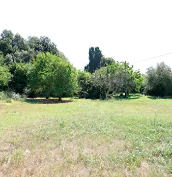 Foto annuncio 55
