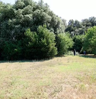 Foto annuncio 56