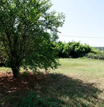 Foto annuncio 52