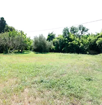 Foto annuncio 57