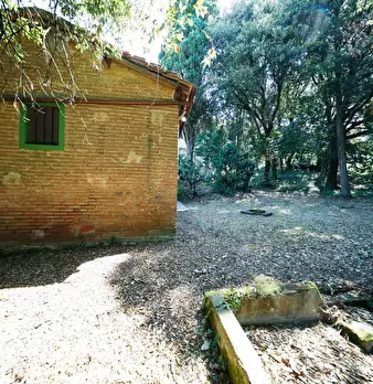 Foto annuncio 15