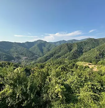 Foto annuncio 27