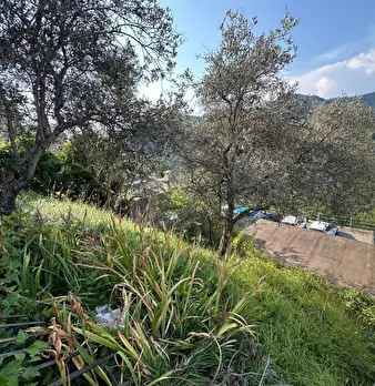 Foto annuncio 13