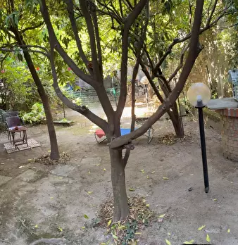 Foto annuncio 7