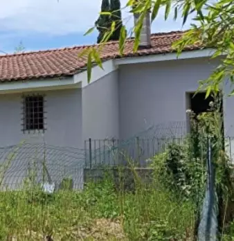 Foto annuncio 5