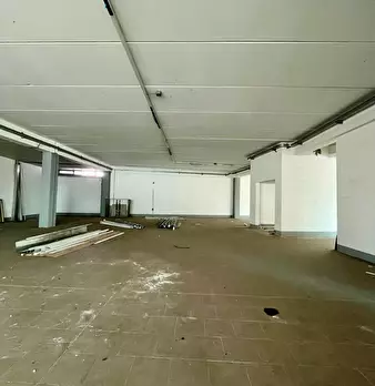 Foto annuncio 11