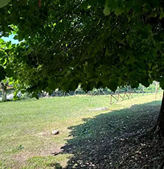 Foto annuncio 27