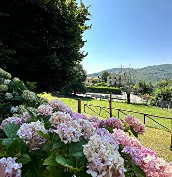 Foto annuncio 26